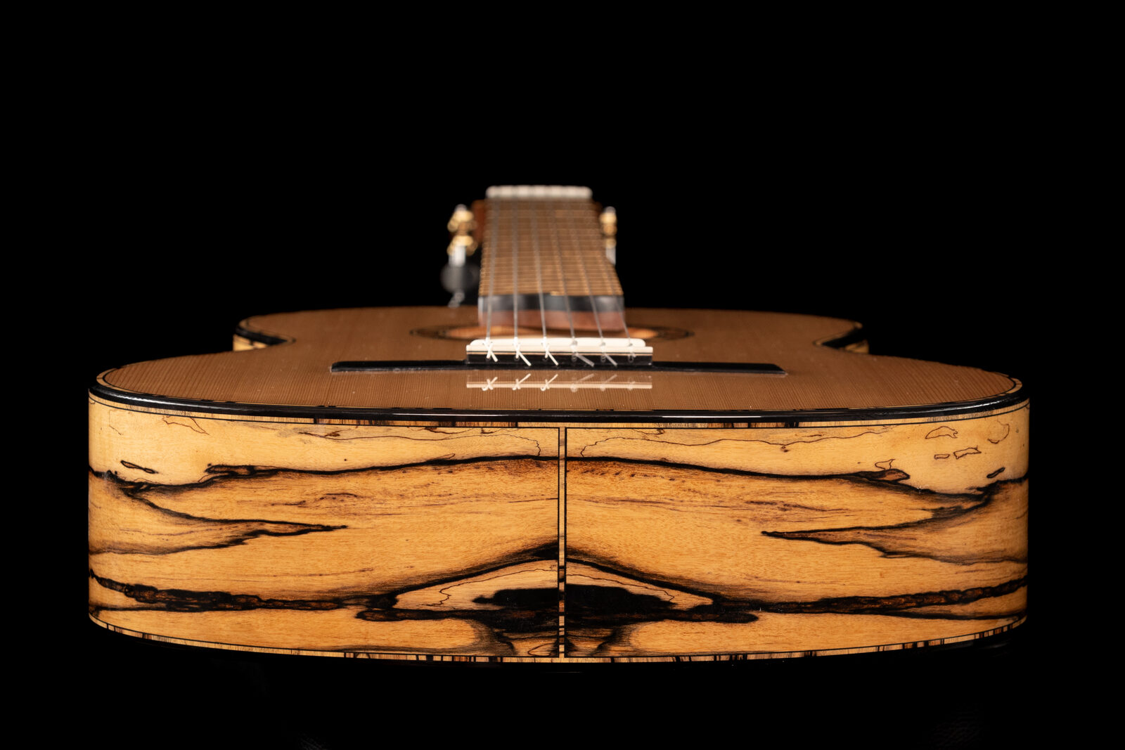 Ryer guitar detail in black and white