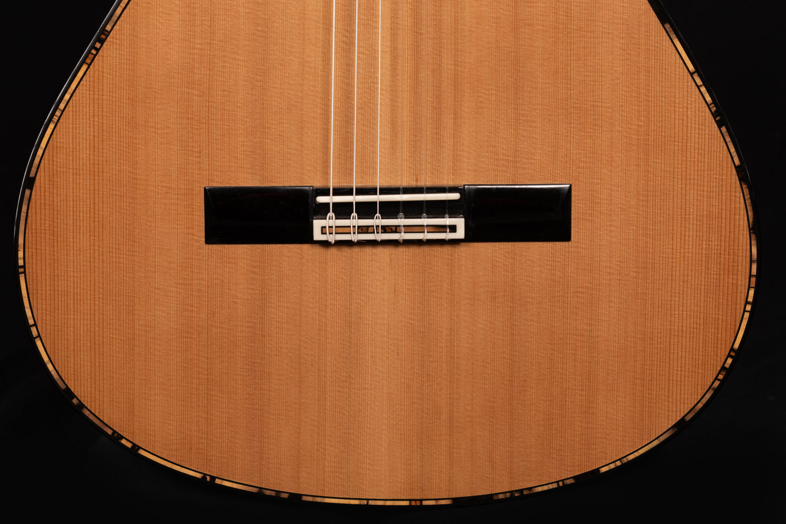Ryer guitar craftsmanship close-up