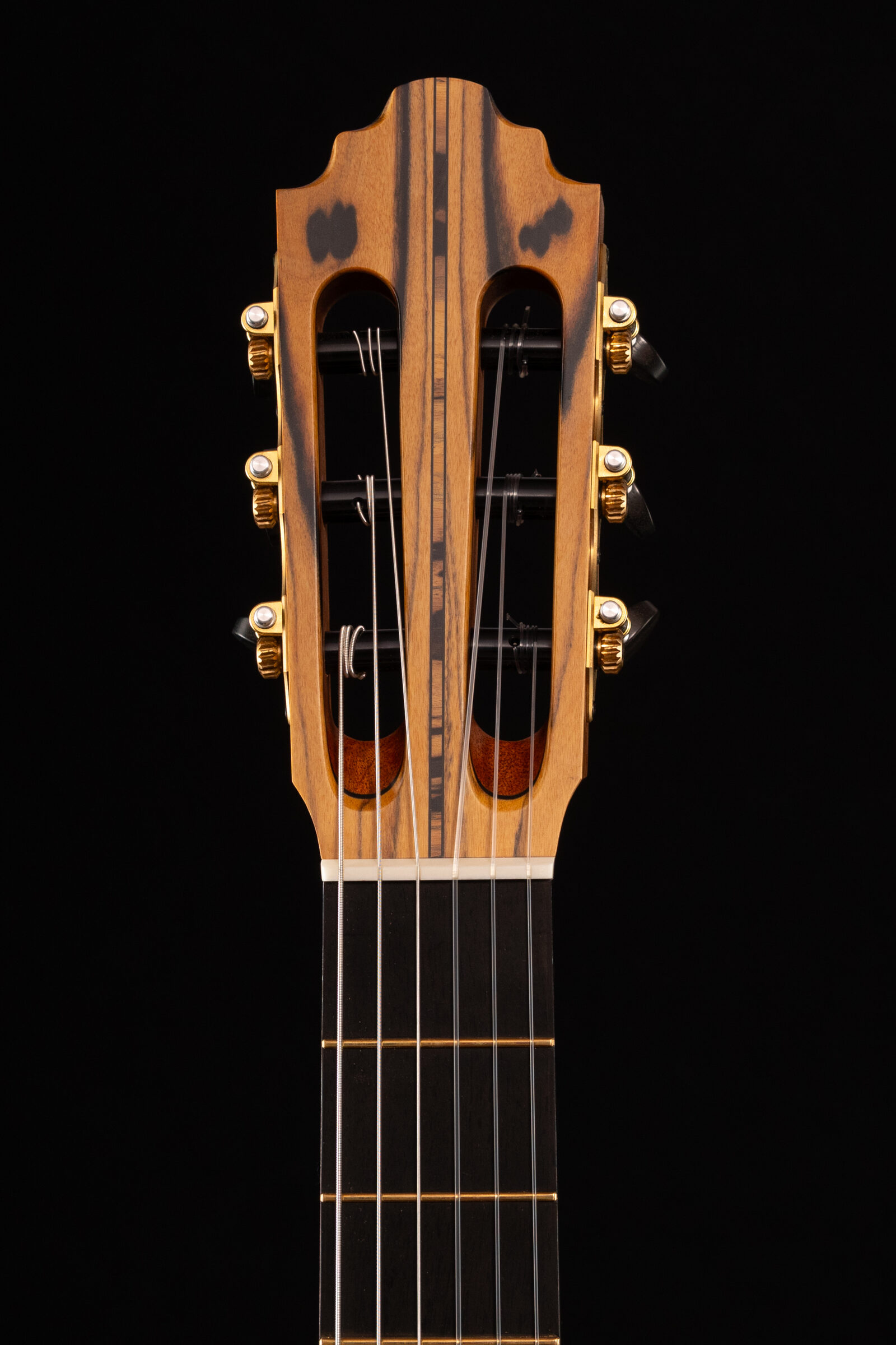 Handmade guitar neck and fretboard detail