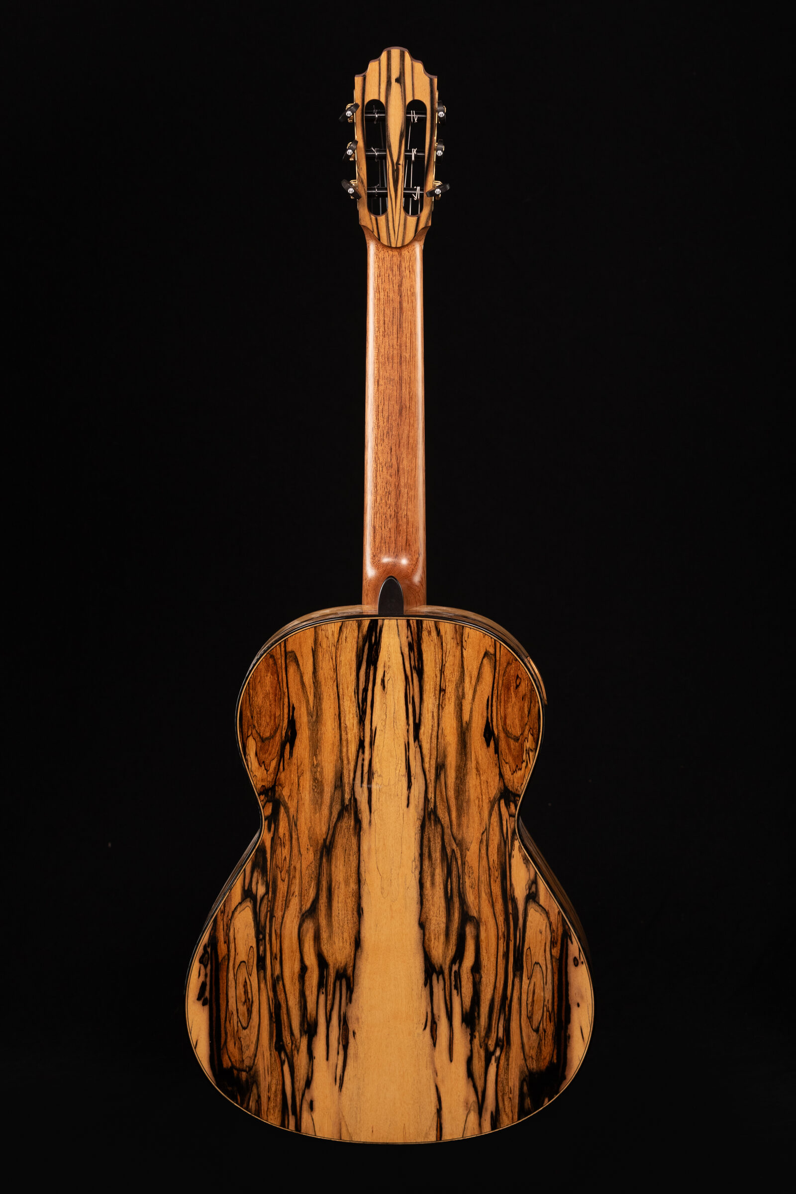 David Ryer classical guitar profile