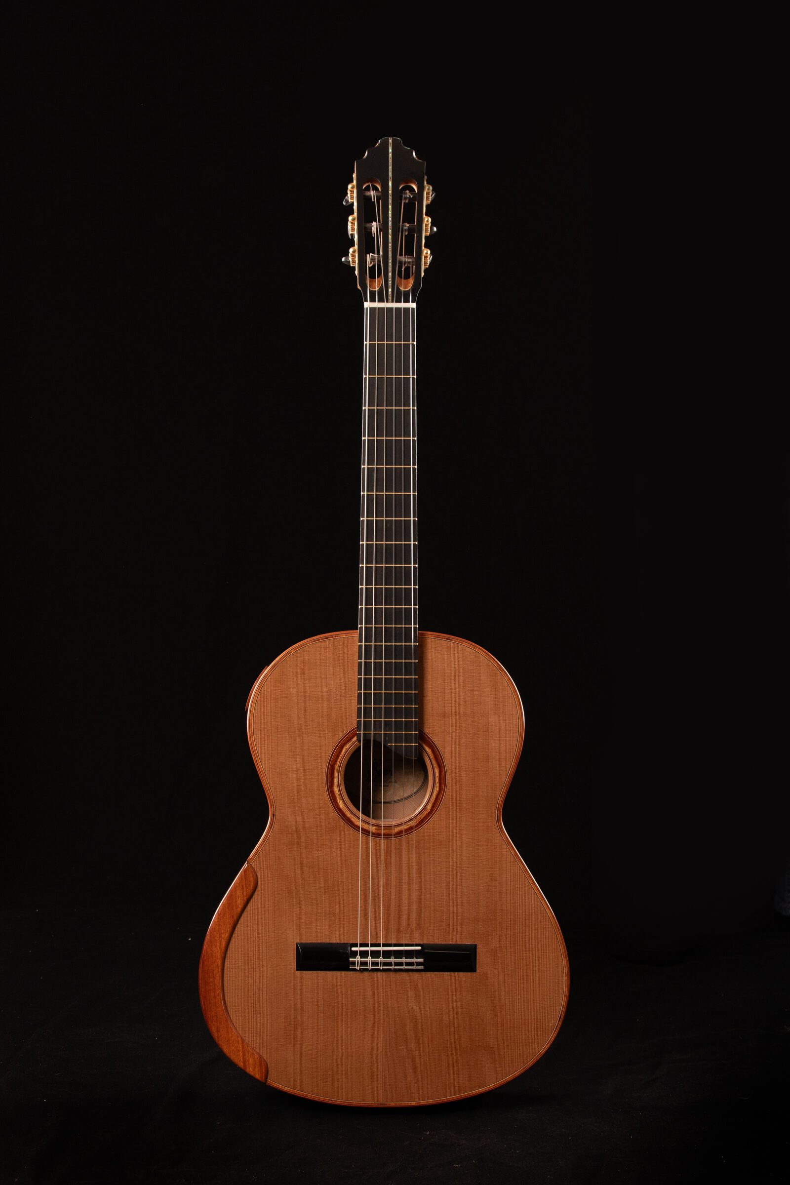 Custom Ryer guitar back and sides