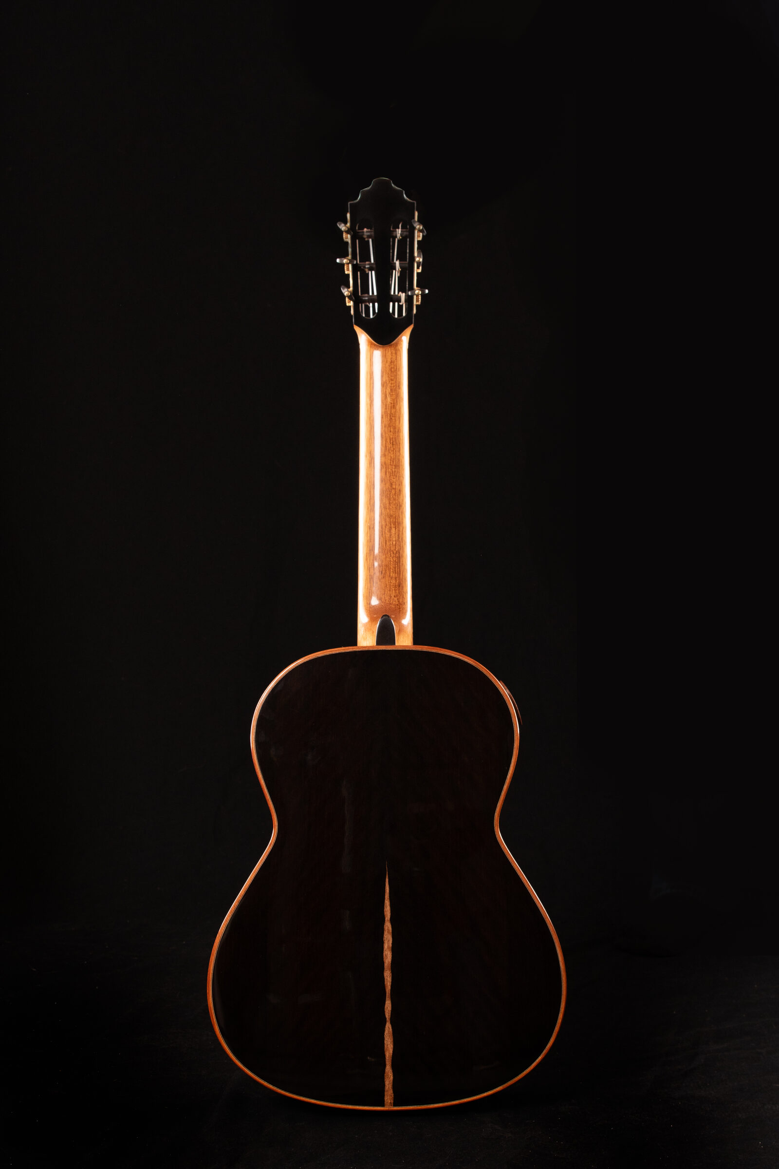 Ryer guitar rosewood back