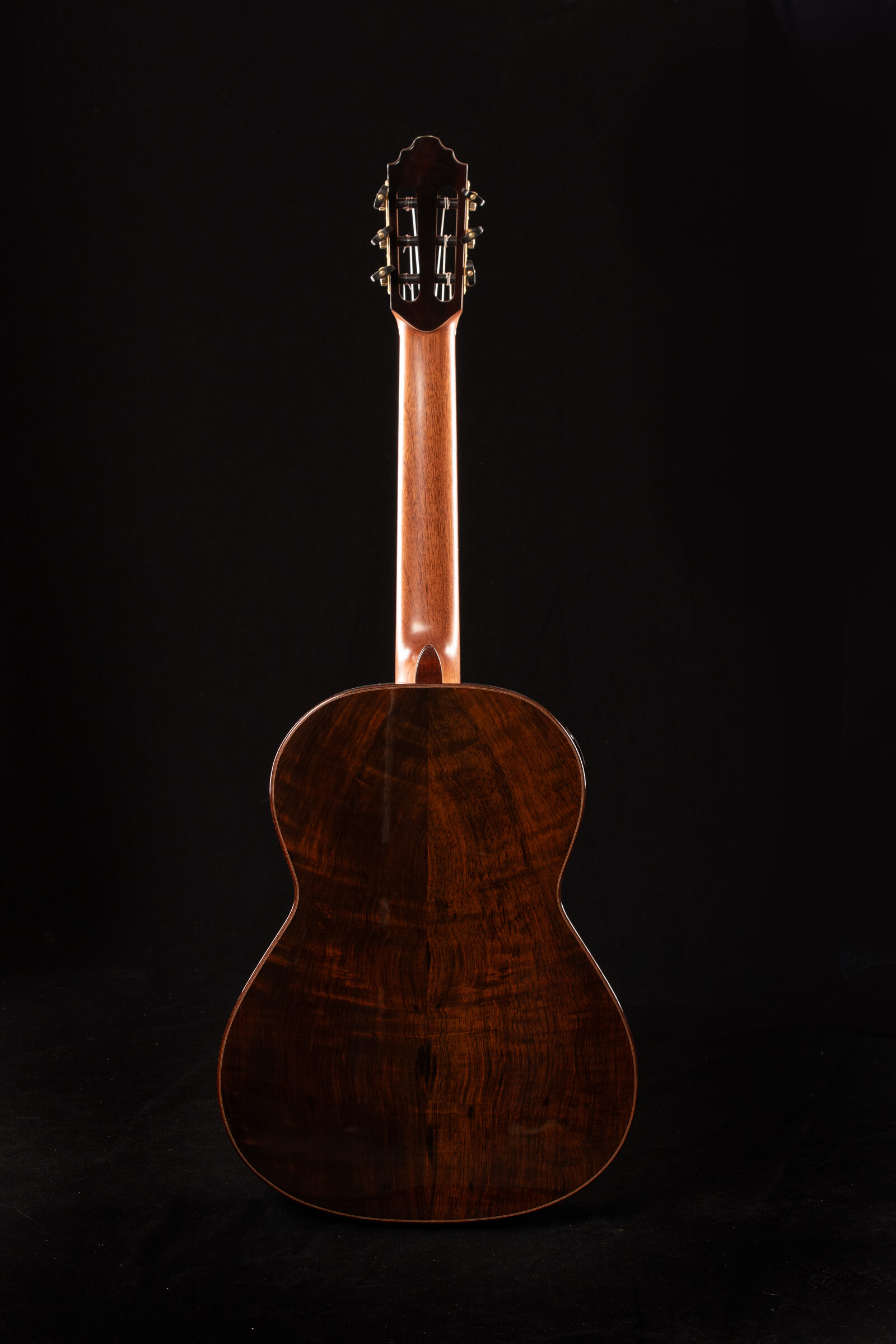 Ryer guitar bridge and saddle detail