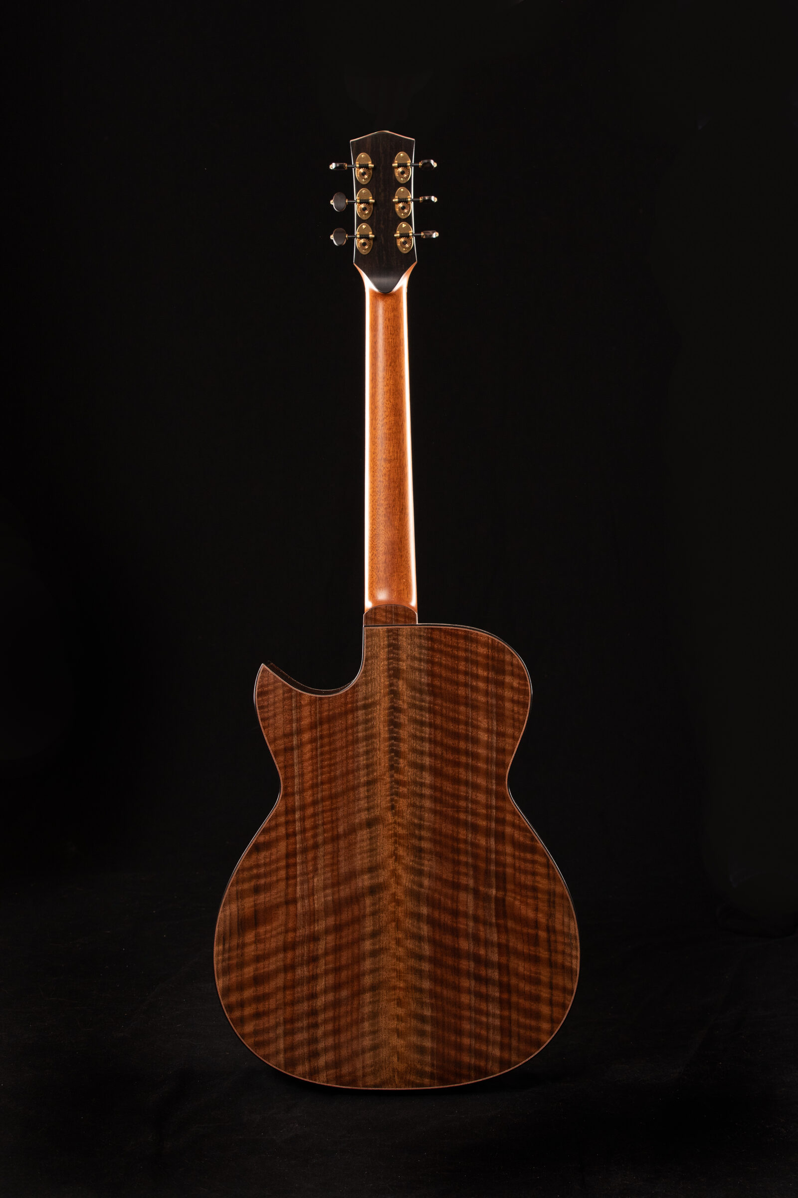 Ryer guitar soundboard and rosette