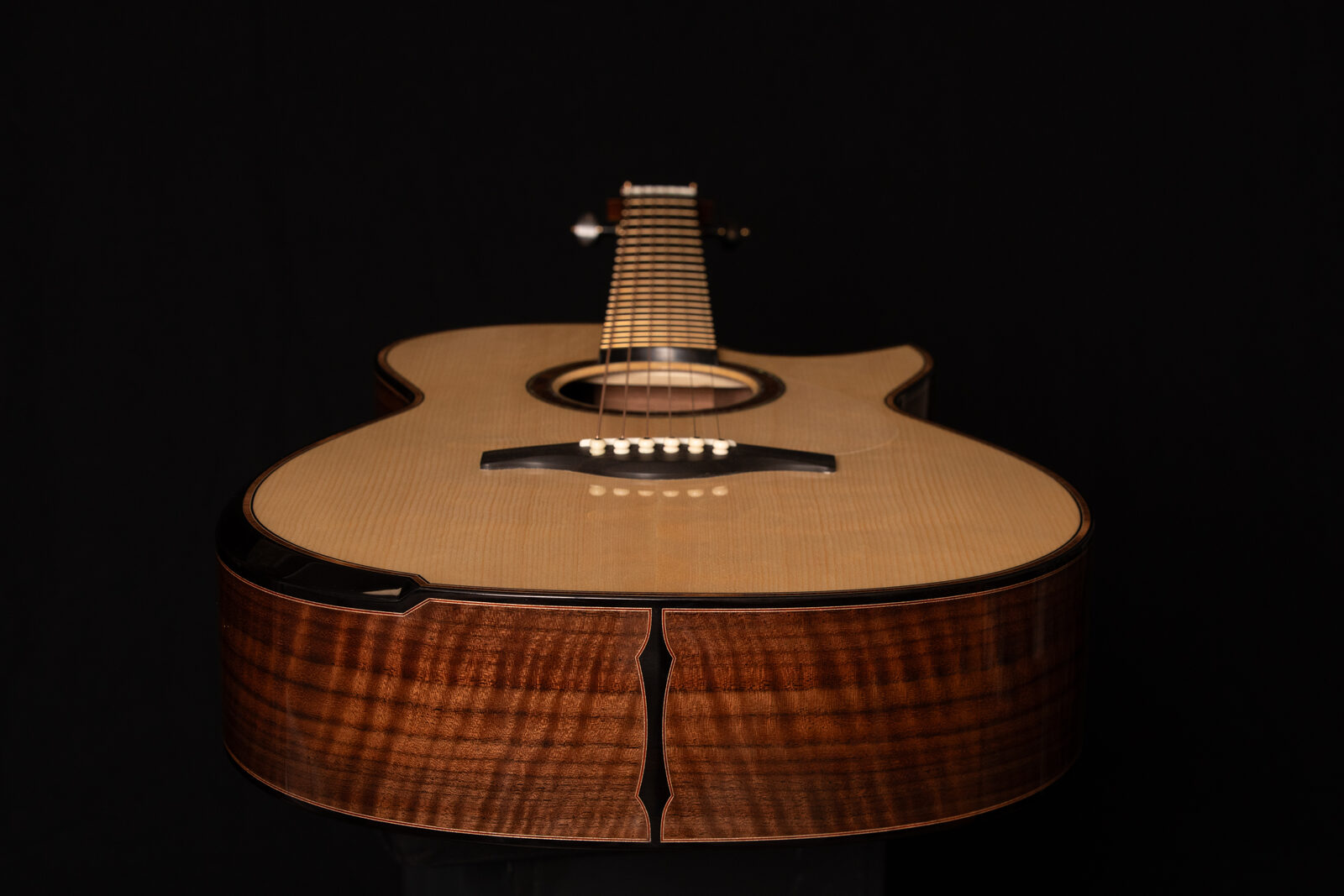 Ryer guitar ebony fretboard