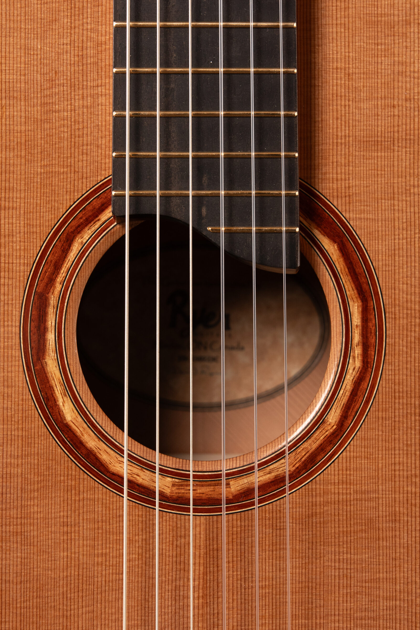 Ryer guitar in natural light