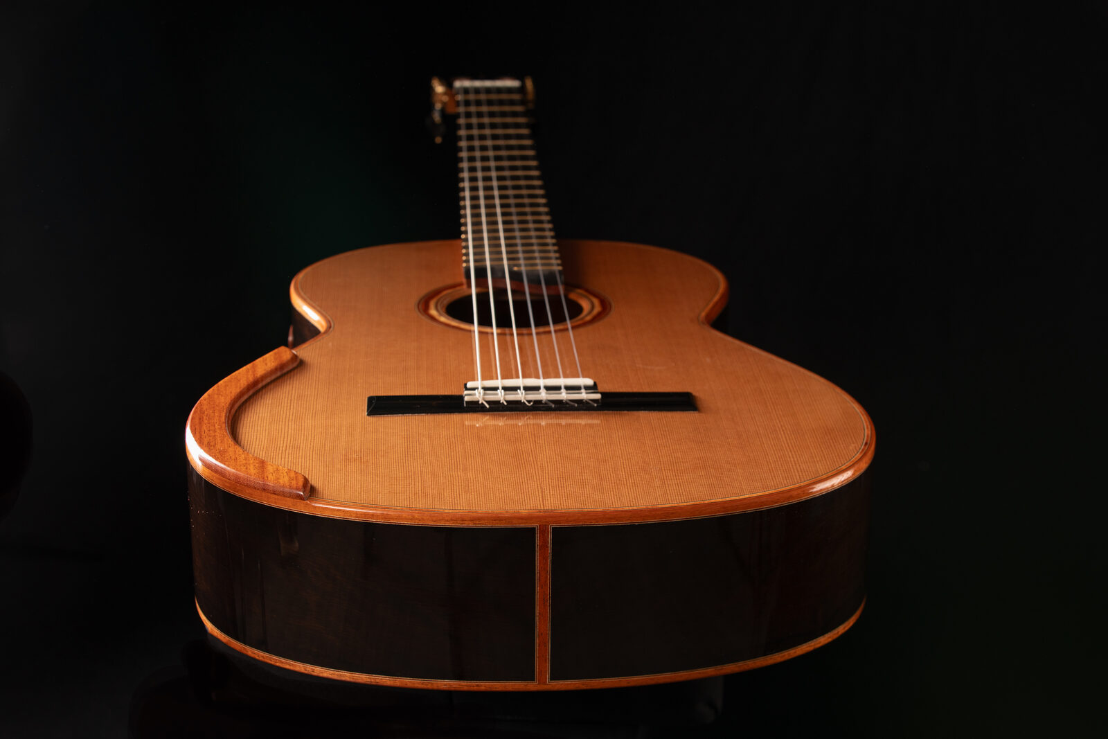 David Ryer guitar artistry